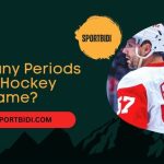 How Many Periods in a Hockey Game? Minor League, NHL and AHL